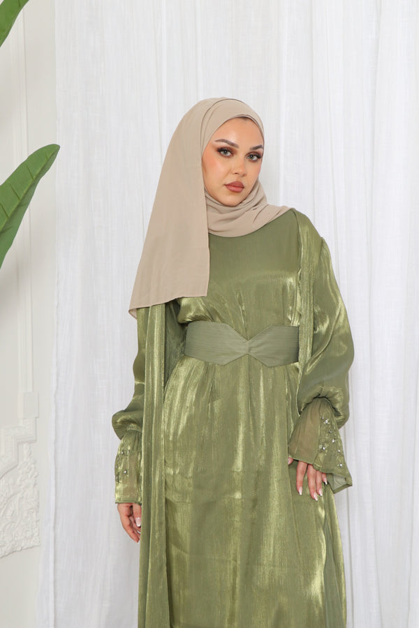 Safiya Organza Embroidery Set- Olive Green